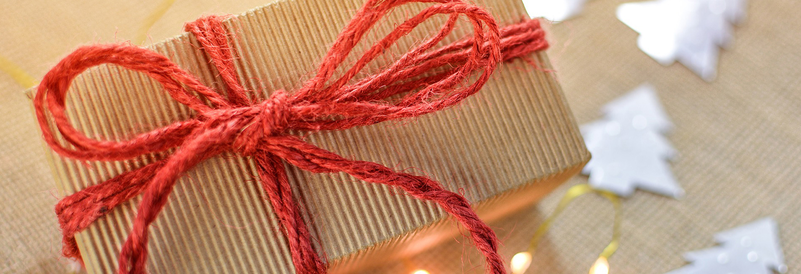 Sustainable Holiday Wrapping